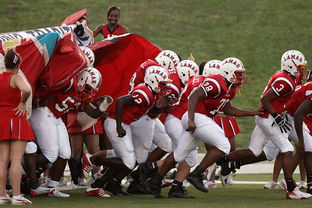 乐鱼体育登录-国家队技战术水平提升瓶颈，国家技巧队