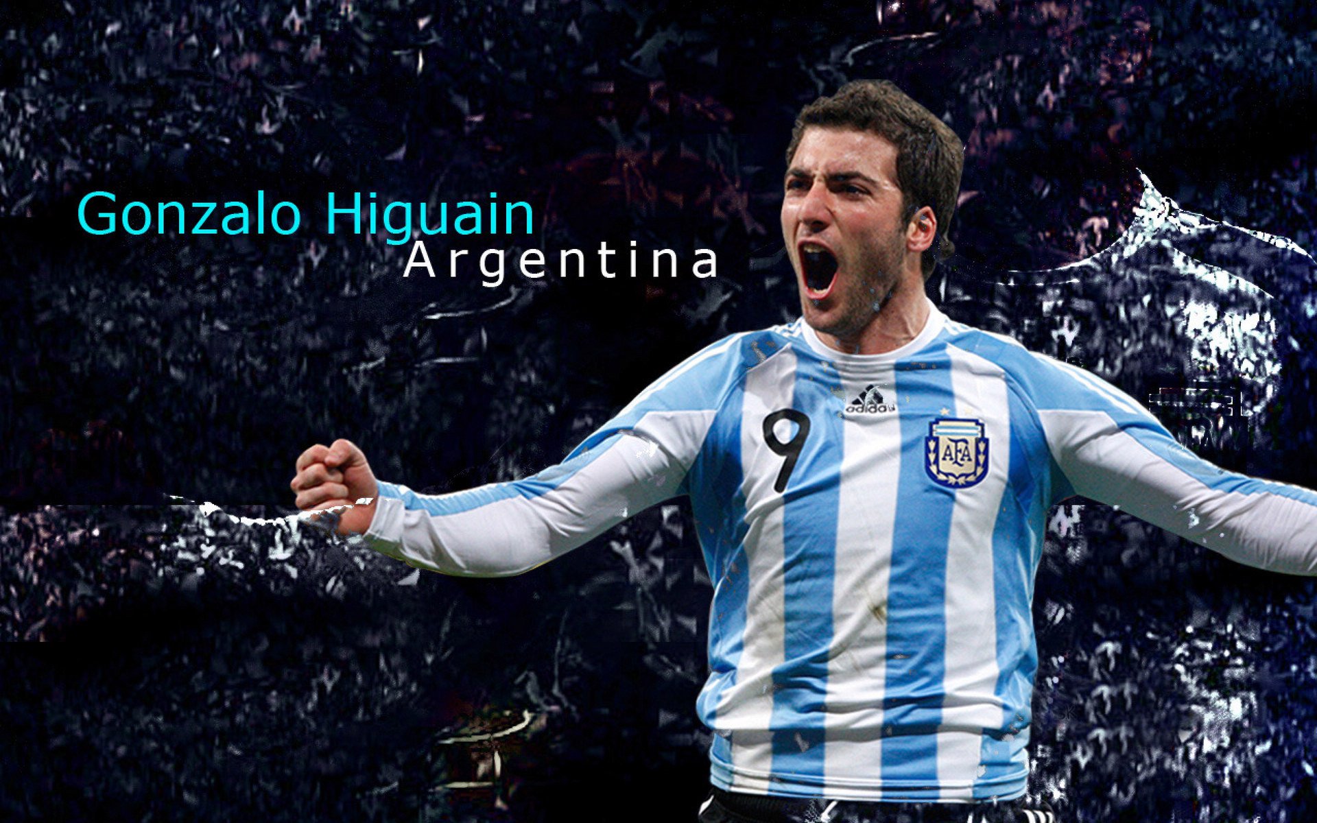 弗朗索瓦·霍尔茨豪伊泽:南非队战术体系的重中之重,弗朗茨·冯·霍兹豪森