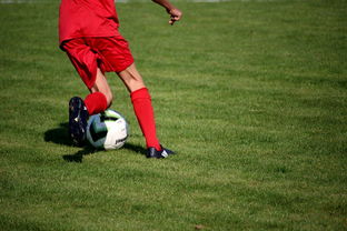 乐鱼app-国足战略调整提升团队竞争力，国足发展的建议